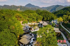 黟县民宿经济绘就春日文旅新画卷